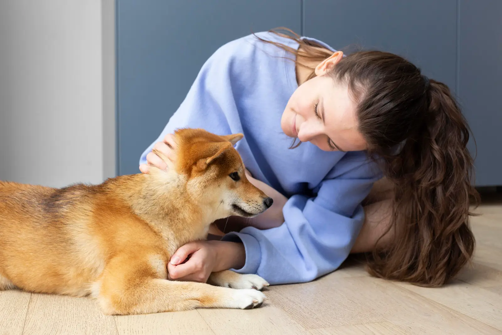 Persona mirando a su perro y tocando su cabeza con cariño.
