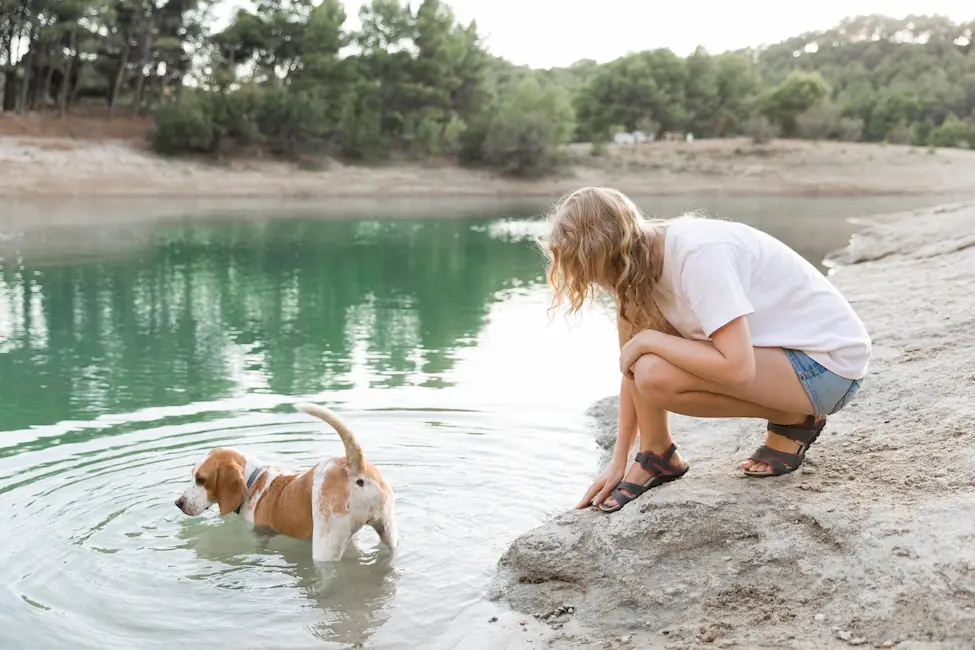 Una persona viendo cómo su perro está en el agua de un pantano.