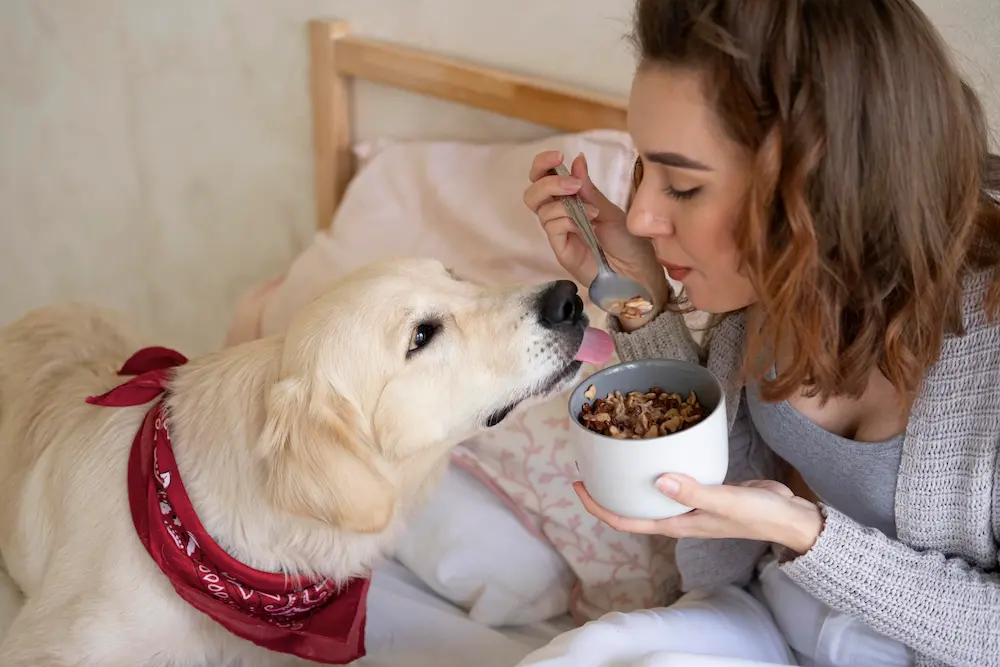 nutrición perros