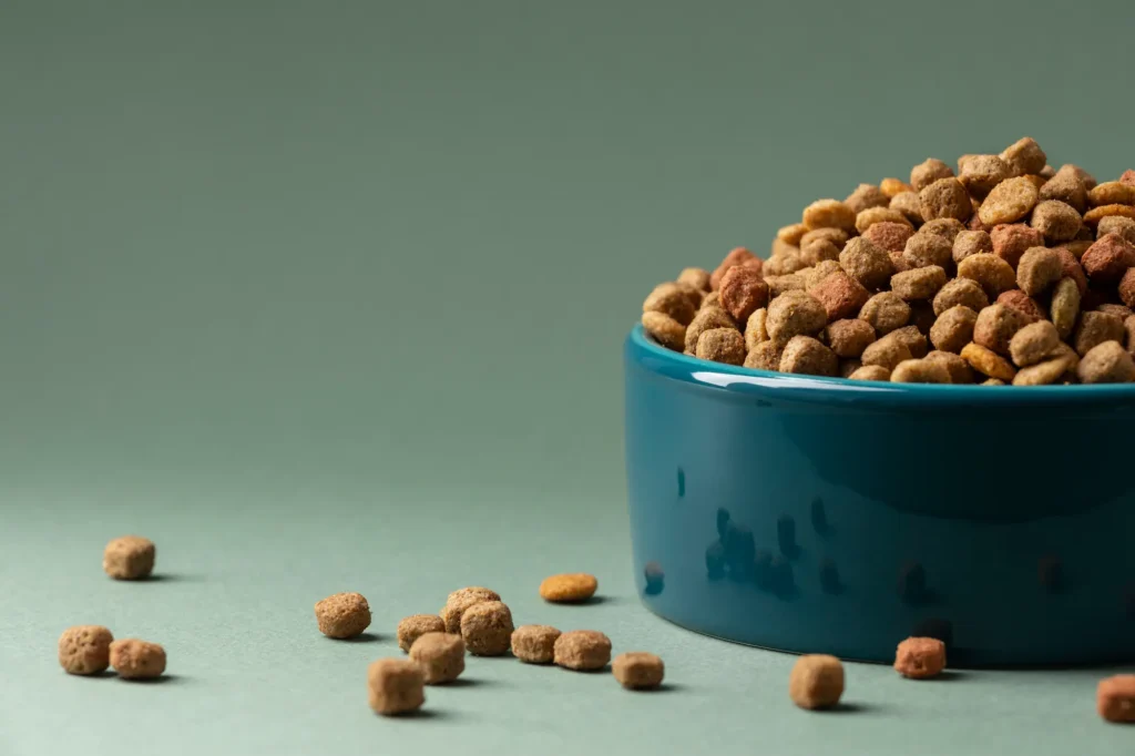 alimentación perros