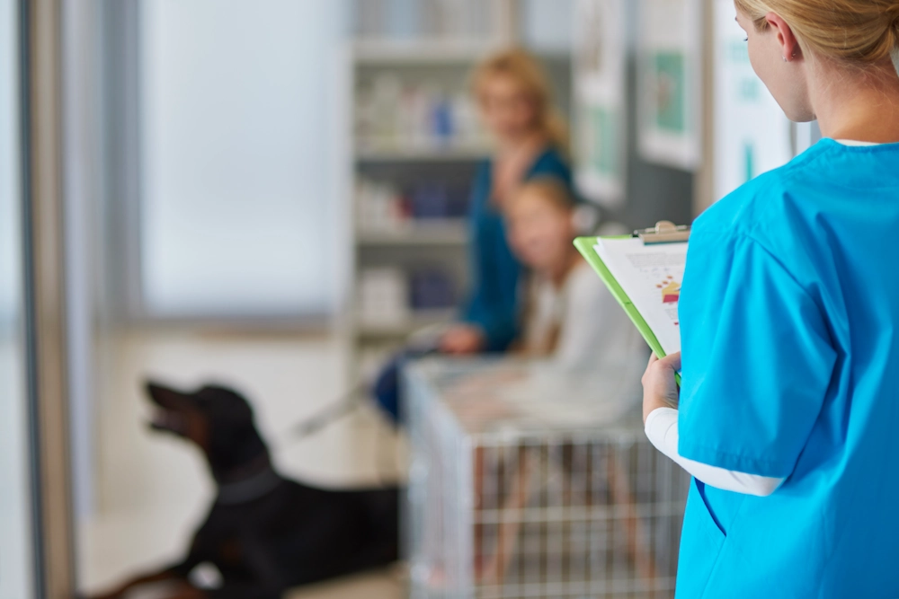 clinica veterinaria