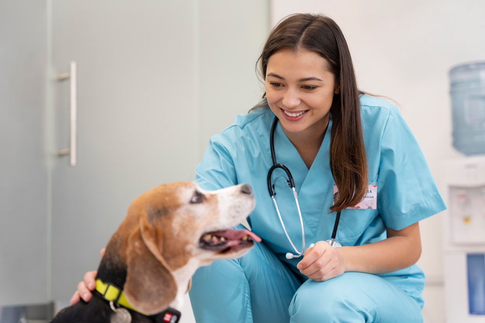 Castración en Perros