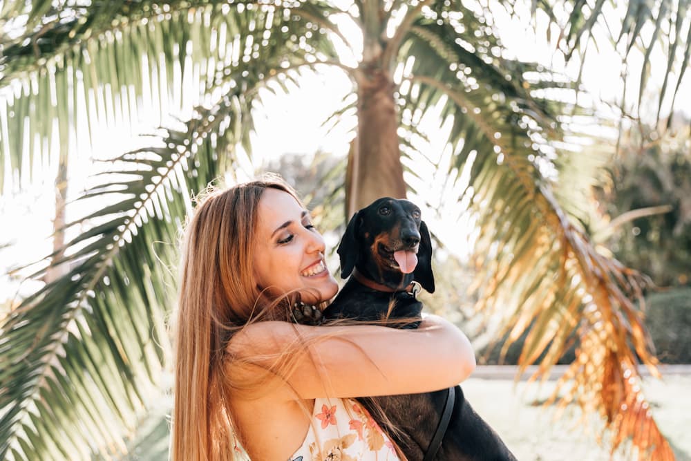 disfrutar perros verano
