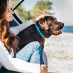 viajar con mascotas