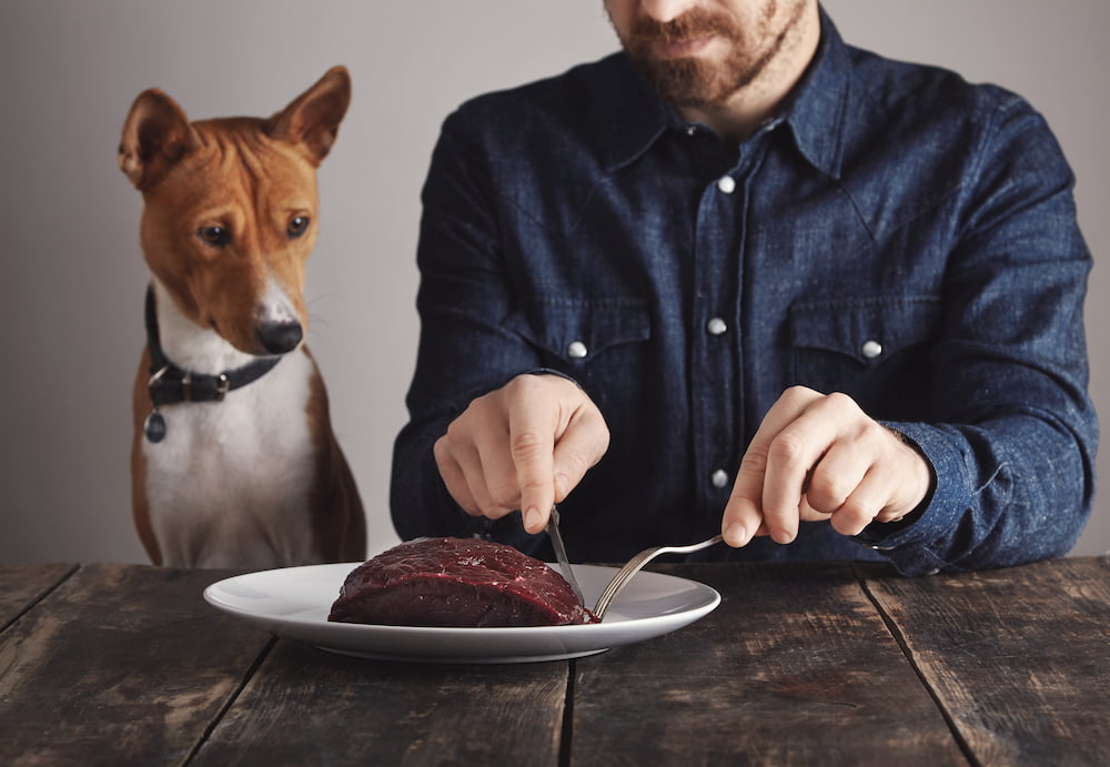 alimentacion natural para perros