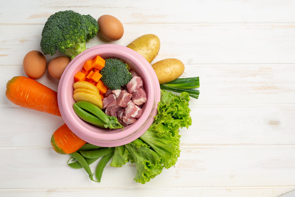 Alimentación natural para perros y gatos: ¿es realmente buena?