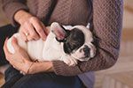 hospitalizacion veterinaria en sevilla
