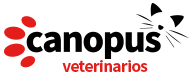 clinica veterinaria en sevilla canopus